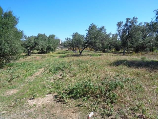 (For Sale) Land Plot || East Attica/Acharnes (Menidi) - 360 Sq.m, 110.000€ 