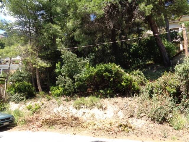 (For Sale) Land Plot || East Attica/Thrakomakedones - 1.094 Sq.m, 230.000€ 