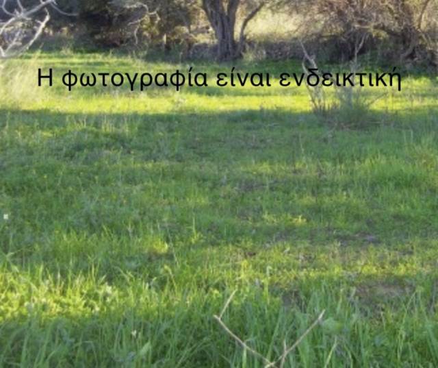 (Προς Πώληση) Αξιοποιήσιμη Γη Οικόπεδο || Αθήνα Βόρεια/Μεταμόρφωση - 250 τ.μ, 160.000€ 