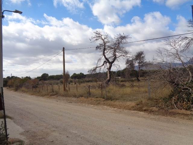 (For Rent) Land Plot || East Attica/Acharnes (Menidi) - 4.900 Sq.m, 250€ 