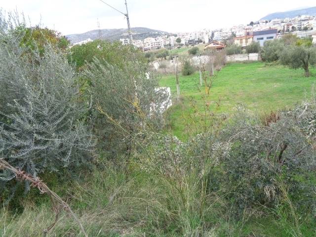 (For Rent) Land Plot || East Attica/Acharnes (Menidi) - 1.990 Sq.m, 1.000€ 